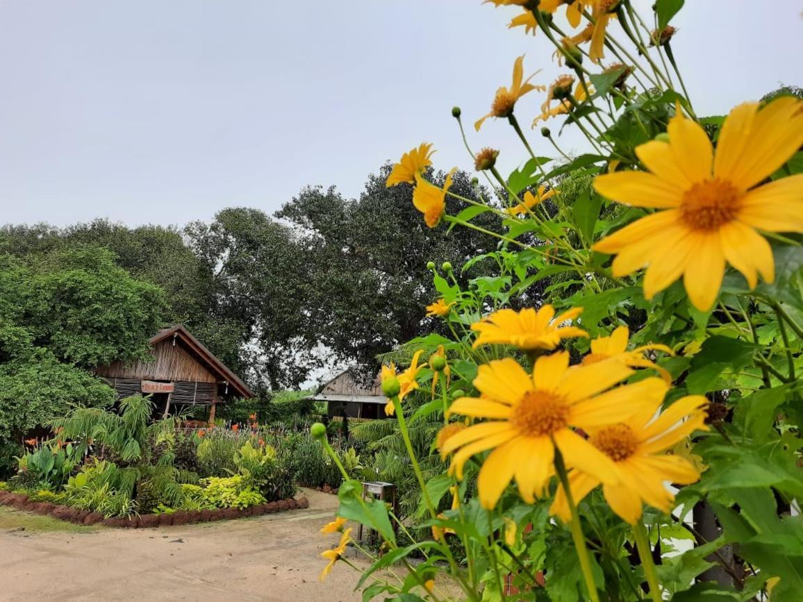 Beach Lagoon Parans Hotel Arugam Bay Exterior foto